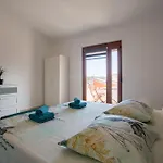 Apartment Picok Pula